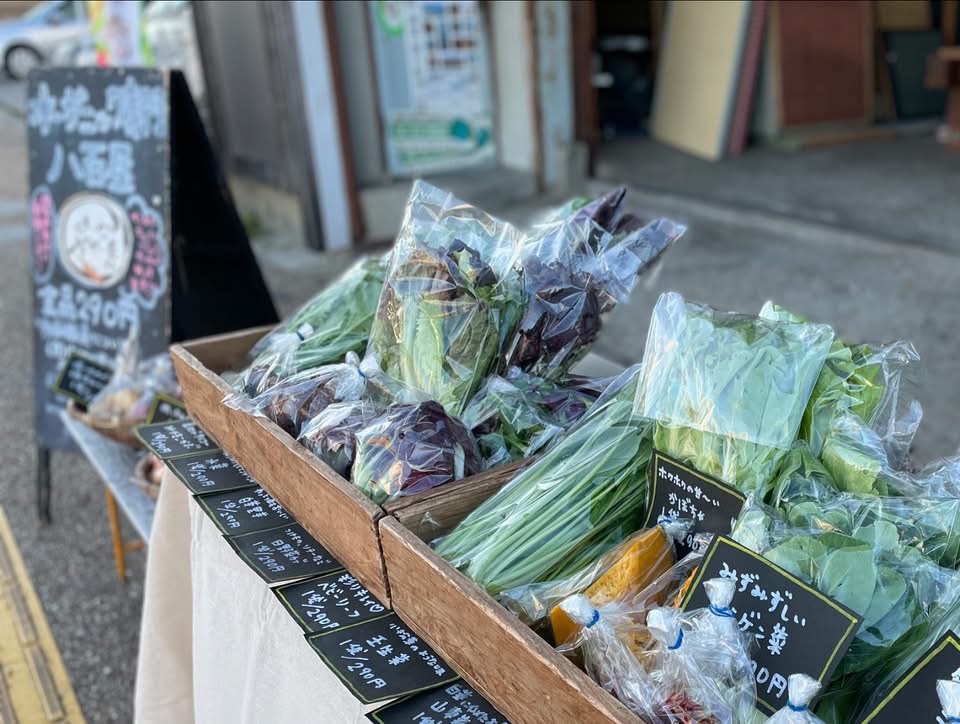 とくとく2500セットのご案内🥗