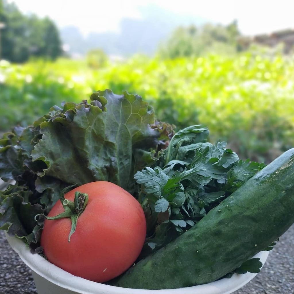 あーやんのやさい屋さん